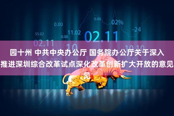 园十州 中共中央办公厅 国务院办公厅关于深入推进深圳综合改革试点深化改革创新扩大开放的意见