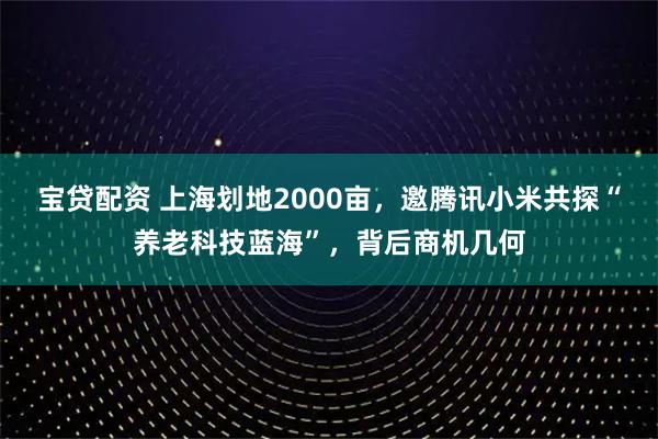 宝贷配资 上海划地2000亩,邀腾讯小米共探“养老科技蓝海”,背后商机几何