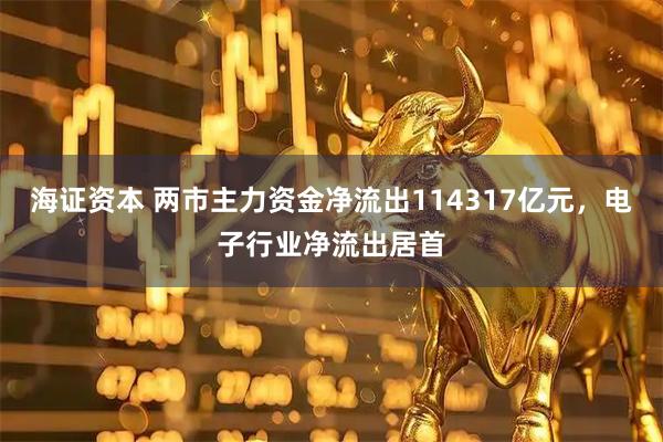 海证资本 两市主力资金净流出114317亿元，电子行业净流出居首