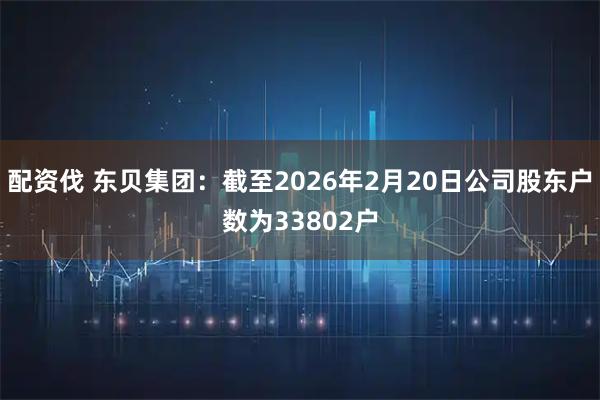 配资伐 东贝集团：截至2026年2月20日公司股东户数为33802户