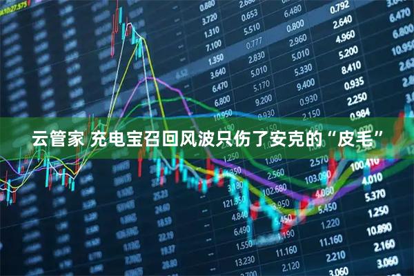云管家 充电宝召回风波只伤了安克的“皮毛”